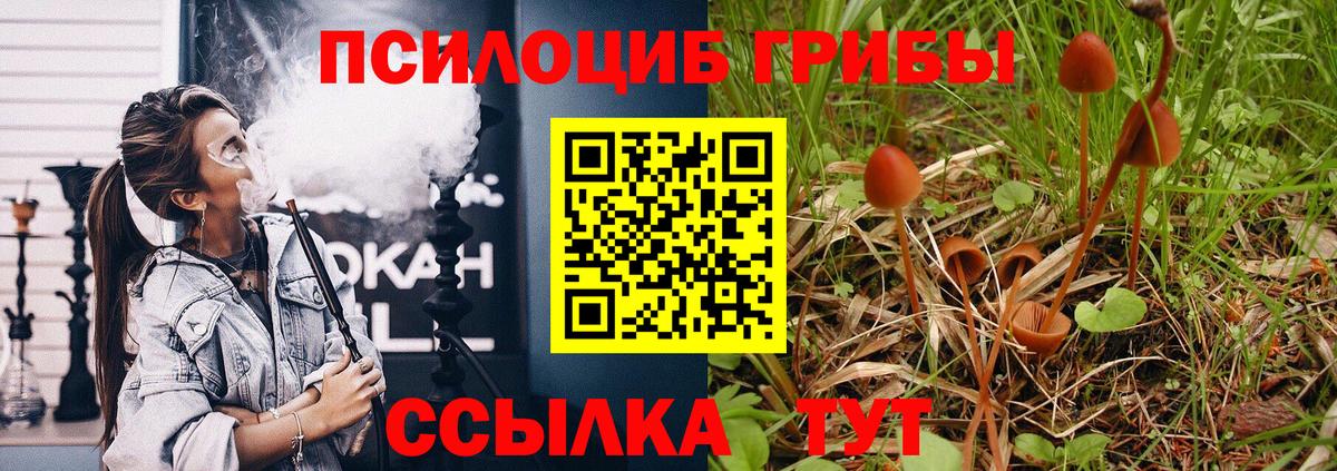 Мелеуз  Галлюциногенные грибы Cubensis  Вход с VPN 