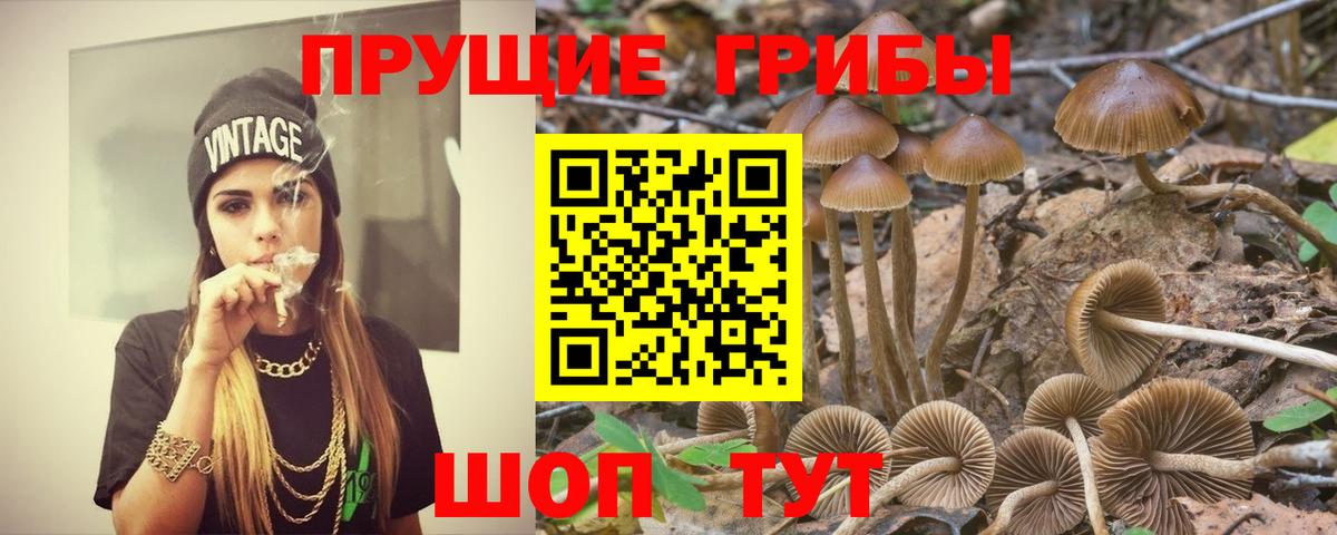 Псилоцибиновые грибы мицелий Мелеуз